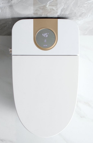 AC220V50Hz Intelligent Bathroom Toilet Featuring Dual Nozzles Ensuring Effective