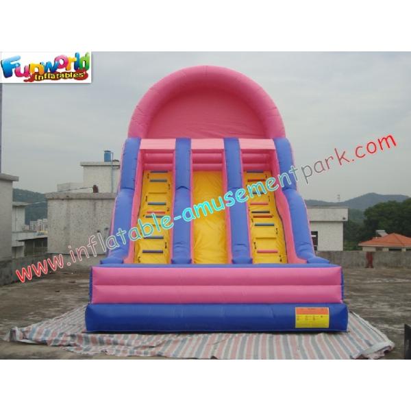 Popular Commercial Inflatable Slide Double Line , Giant Slide Toys