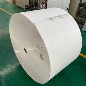 330 Gram Waterproof Coated Paper Flexo Double PE Coated Paper