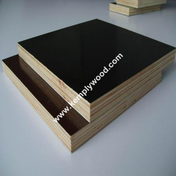 Buy 12mm/15mm/18mm Printed Logo Film Faced Plywood one time hot pressed shuttering plywood at wholesale prices