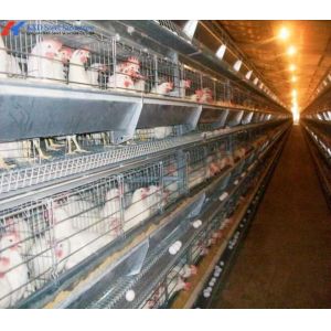 5 Tiers 6 Tiers Poultry Layer Cage H Type Animal Feeding Chicken Metal Cage