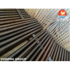 ASME SA179 ASTMA179 U Bend Seamless Cold Drawn Low Carbon Steel Heat Exchanger