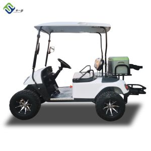 Custom Power Steering EV Golf Cart Electric Powered Vehicle 20mph