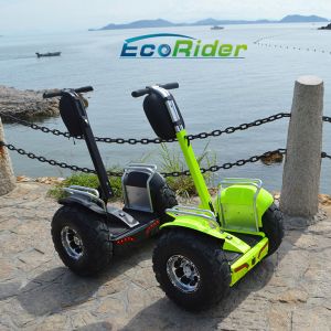 Quality 100V - 240V Electric Chariot Scooter Waterproof Electric Scooter Adult for sale