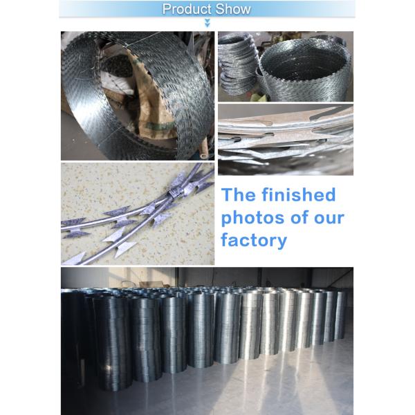 Concertina Razor Barbed Wire Price/Hot Dipped Galvanized Razor Wire