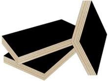 Anti - Slip Thin Black Film Faced Plywood With Successive Mechanical Treatment