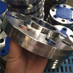 Quality X3CrNiMo17-13-3 blind pipe flanges EN 10222-5 forged flanges 1.4436 steel forged flanges for sale