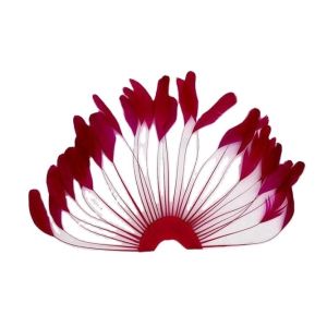 Quality Dyed Pattern Party Decoration Stripped Coque Feather Flower Fan With Wire Accessory for sale