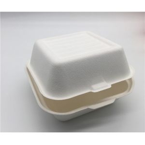 6" Biodegradable Takeout Containers