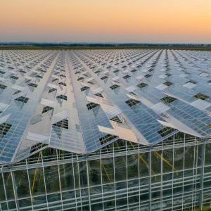 Proper Intelligent Garden Glass Frame Agriculture Greenhouse Sale 100.000kg