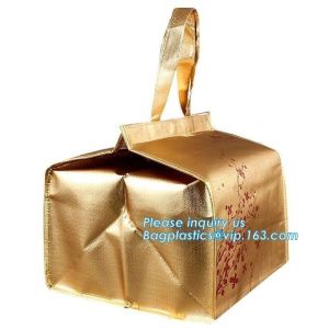 thermal insulation food distributed delivery Bag by scooter or motorcycle,office cooler lunch bags with bottle holder