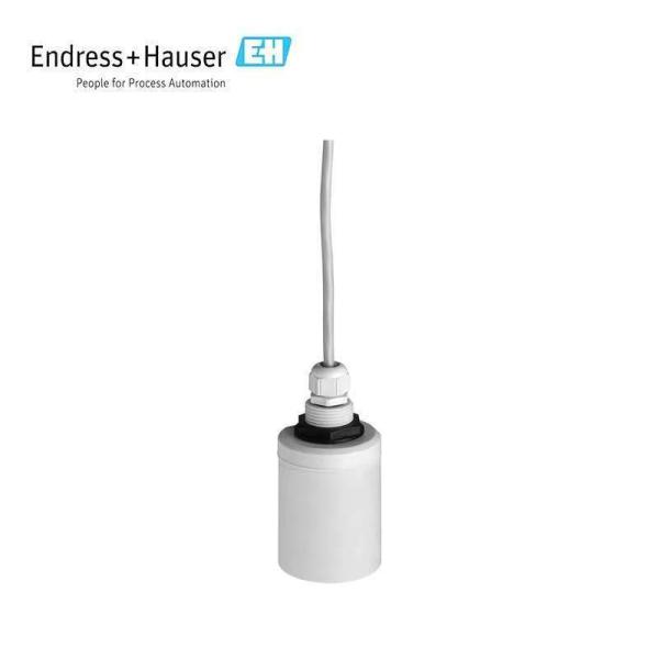 100% New Original Endress-Hauser Ultrasonic Interface Sensor Turbimax CUS71D