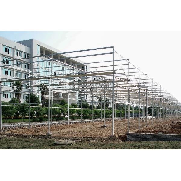 IGreen Polycarbonate Greenhouse Panels for Flowers and Vegetables Customized Length