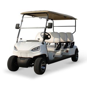 Tire Size 205/50-10 Tire diameter 18.1in 460mm Powerful 4KW AC Motor Electric