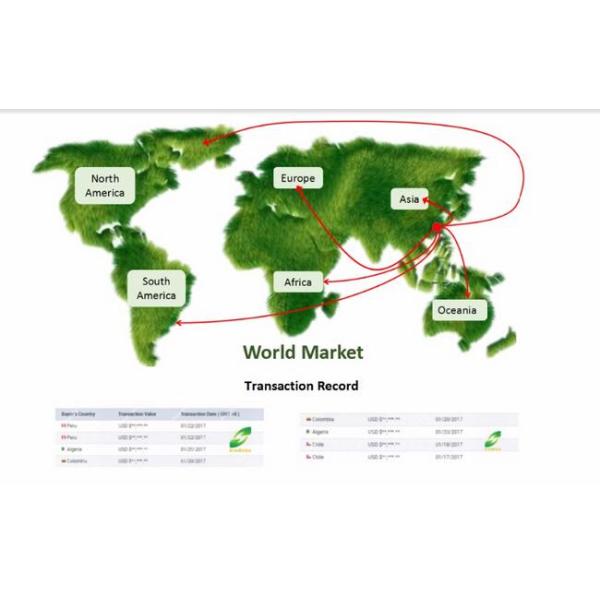 Colorful 900D FDY High Tenacity Polypropylene Yarn Intermingle Multifilament For Webbing Rope