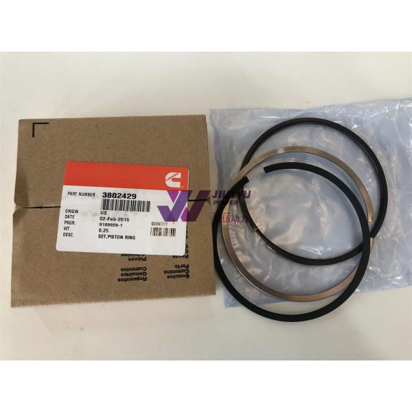 3802429 Cummins Engine Parts