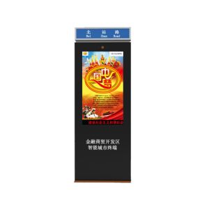 IPS LCD 65inch Digital Advertising Panel Information Signage