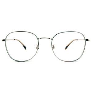 FM2582 Lightweight Round Metal Glasses Frame , Customized Optical Spectacle
