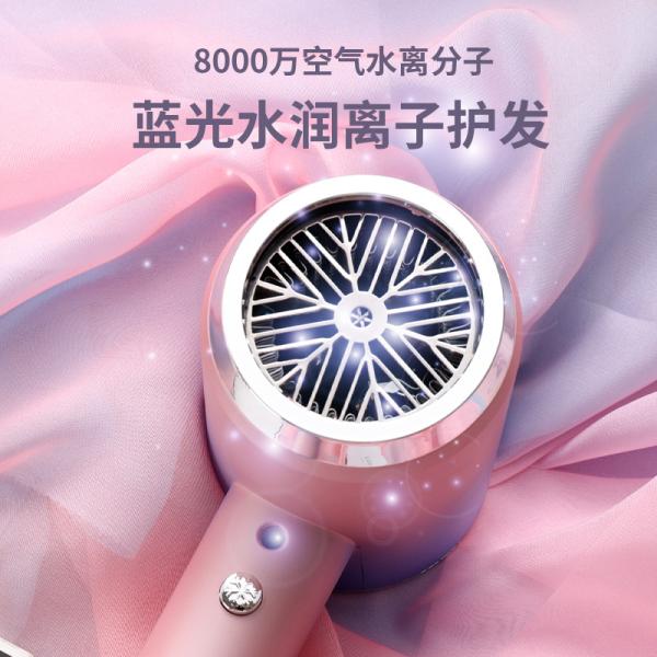 Blue Light Ion Hair Dryer with High Power and 3 Speed Settings Salon Results at Home