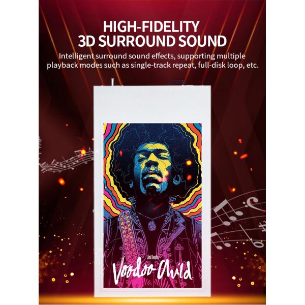 55'' Hanging Double Sided Commercial Digital Signage Displays Ultra High Brightness For Window Displays