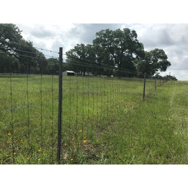 Buy 1.2m Height Hot Dip Galvanized Wire Cattle Fencing 200m Length at wholesale prices