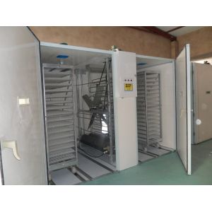 Egg Trolley 30000 Egg Incubator Hatching Machine