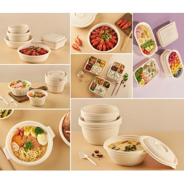 Tray Blister Cup Making Machine Disposable Food Container Manufacturing Machine