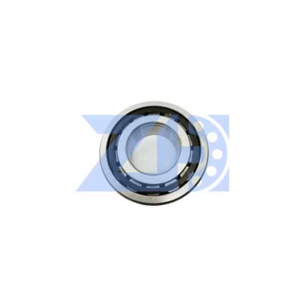 Buy Suitable  Hydraulic Pump Bearing External HPV55   55 at wholesale prices