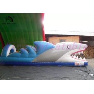 Shark PVC Inflatable Water Slide , Custom Amazing Thrilling Mini City Slide