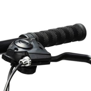 25km/H Long Range Electric City Road Bike 750w High Power Two Wheel