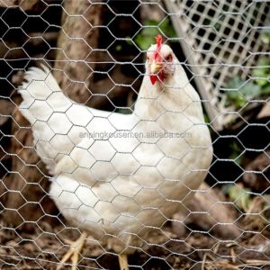 Metal Type Iron 5ft 6ft 7ft 8ft Animal Livestock Field Farm Fence with and Rot