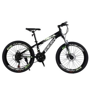 Quality Affordable Mountain Bicycle with Sus Fokr Cp Crown and Tongli Michanical Disc Brake for sale