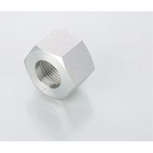 Quality OEM Retaining Nuts Nl/Ns with Male Connection and Hexagon Head Type Design for sale