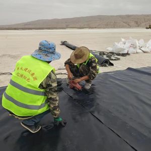 Black White Green Blue Hdpe Geomembrane Liners for Landfill Thickness 0.5-3mm