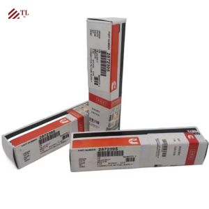 Diesel Engine Fuel Injector For QSB6.7 Other Part Name Hydraulic Main Pump