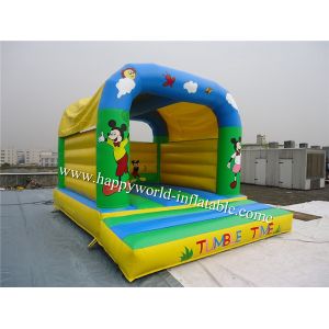 China mickey mouse jumping castle , cheap inflatable bouncer , bouncy castle paint on sale