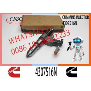 Remanufactured Quality N14 Series Fuel Injector Assy 4307516N Injector Part NO.