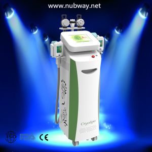 Quality Cryolipolysis Caviation Slimming Machine / Beauty Machine Cryolipolysis Slimming Machine for sale