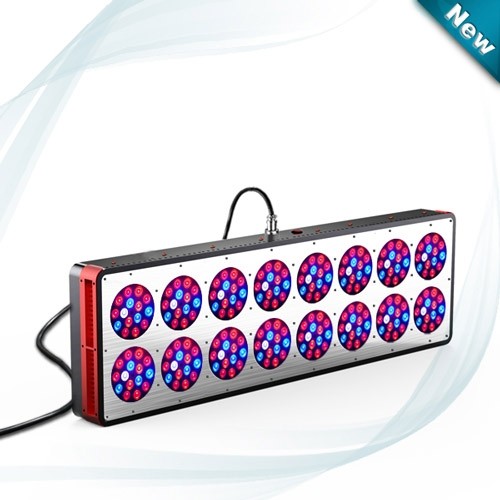 Buy CIDLY Solar Bloom Booster 720W LED Grow Lights Full Spectrum for flowering 240x3watts Gree at wholesale prices