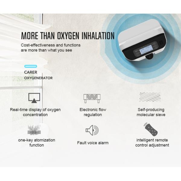 5 Lpm Portable Oxygen Concentrator With Adjustment Button