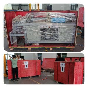 Disposable Head Anti Dust Bouffant Cap Making Machine With 304SS frame