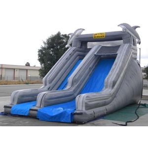 Double Slide Way Commercial Inflatable Slide Gray PVC Outside