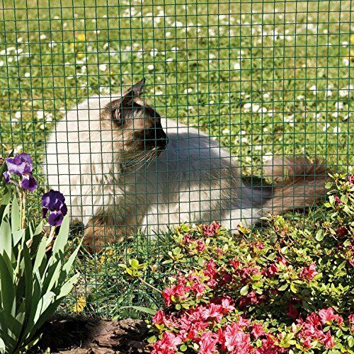 1in Hexagonal Hole 1.2x30m Chicken Mesh Fence