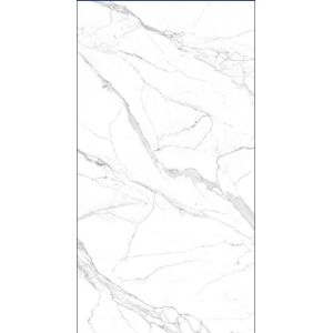 Matt Surface 1200*2400 Big Slab Floor Tile White Color Hot Sales Indoor