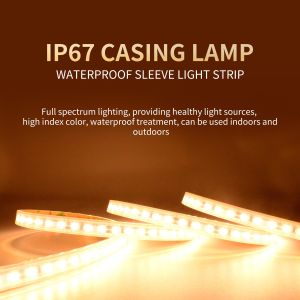 Quality High Brightness 120pcs SMD 2835 LED Strip Monochrome Temperature for sale