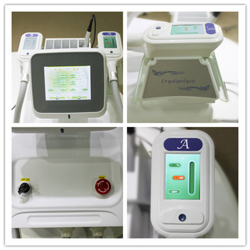 2015 Two Handle Home Portable Cryolipolysis Machine Fat Cryolipolysis