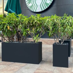 Stainless Steel Flowerpot with Easy Maintenance and Smooth Surface