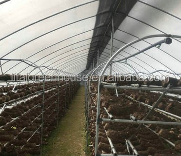 Single-Span Agricultural Greenhouses for Commercial Stable Structure Easily Assembled