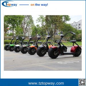 China 60-80km Range Per Charge and 6-8h Charging Time Harley electric scooter on sale