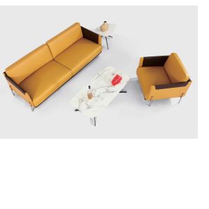 classical modern ： Shared Workspace Furniturelounge sofa